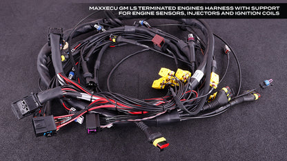 Maxxecu Race with Terminated LS engine harness